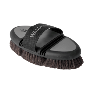 Waldhausen Flex Kardätsche Rosshaar