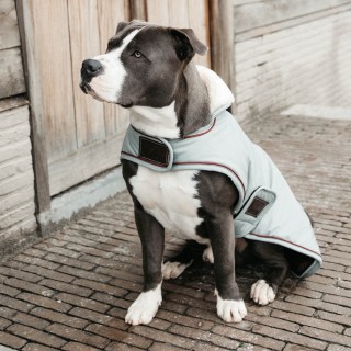 Kentucky Dogwear Hundemantel Waterproof 160g - Dusty Blue