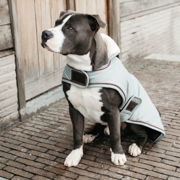 Kentucky Dogwear Hundemantel Waterproof 160g - Dusty Blue