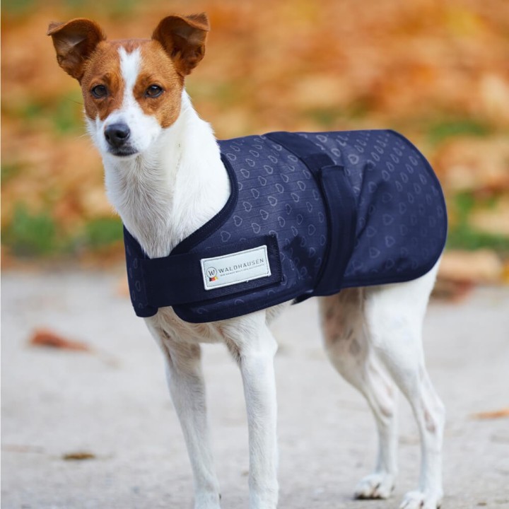 Waldhausen Hundedecke Silver Hearts 100g