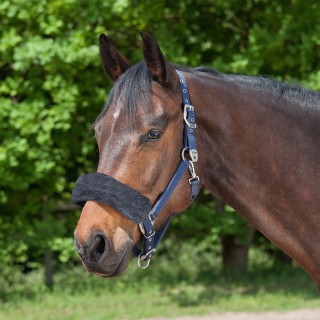 Waldhausen Nasen oder Genickschoner