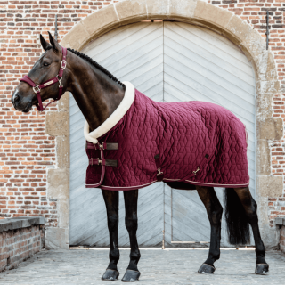 Kentucky Horsewear Show Rug Velvet 160g - Turnierdecke