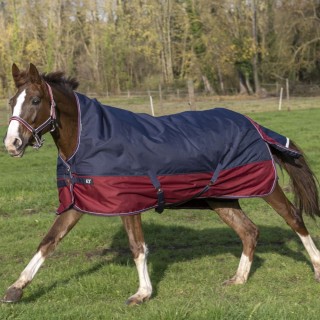 Equithème Tyrex 1200D High Neck 300g - marineblau/bordeaux