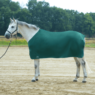 Busse Abschwitzdecke BASIC II