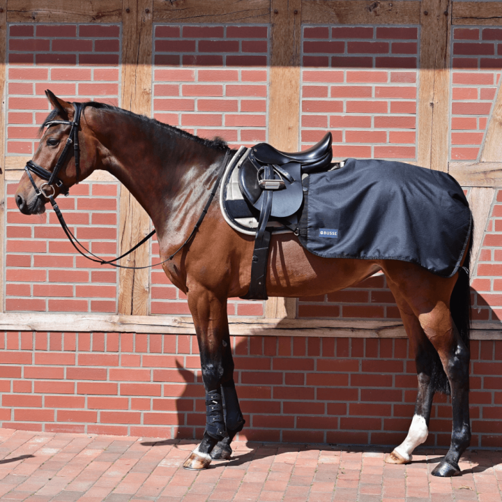 Busse Trainingsdecke Rain 50g