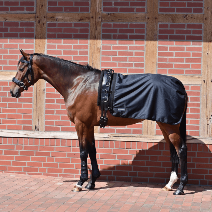 Busse Longierdecke Rain 50g