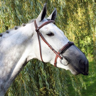 QHP Fliegen Nasenschutz