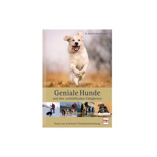 Geniale Hunde und ihre verblüffenden Fähigkeiten