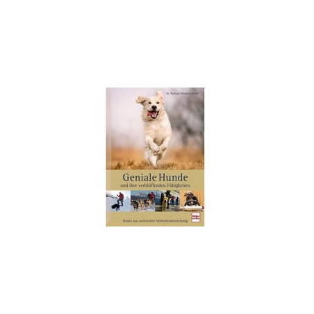 Geniale Hunde und ihre verblüffenden Fähigkeiten