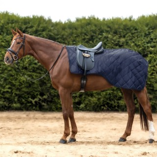 Waldhausen Nierendecke Exclusive