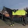 Waldhausen Reflex Nierendecke Fleece - Neongelb