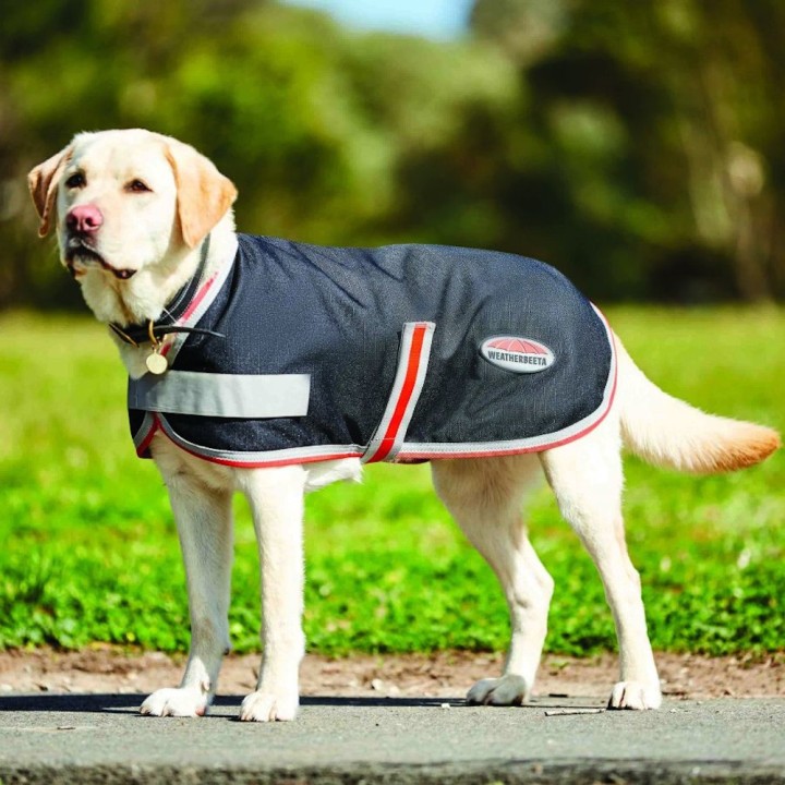 Weatherbeeta Comfitec 1200D Therapy-Tec Hundemantel - black/silver/red