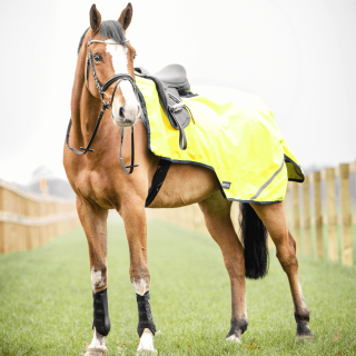 Busse Ausreitdecke SHINE 100g