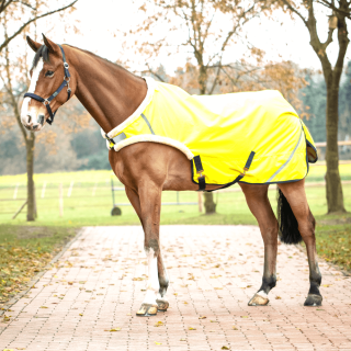 Busse Führdecke SHINE 50g