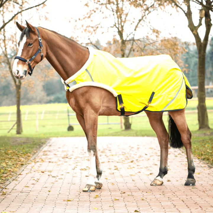 Busse Führdecke SHINE 50g