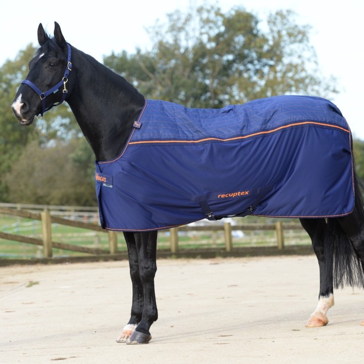 Bucas Therapy Cooler Big Neck - Navy/Orange