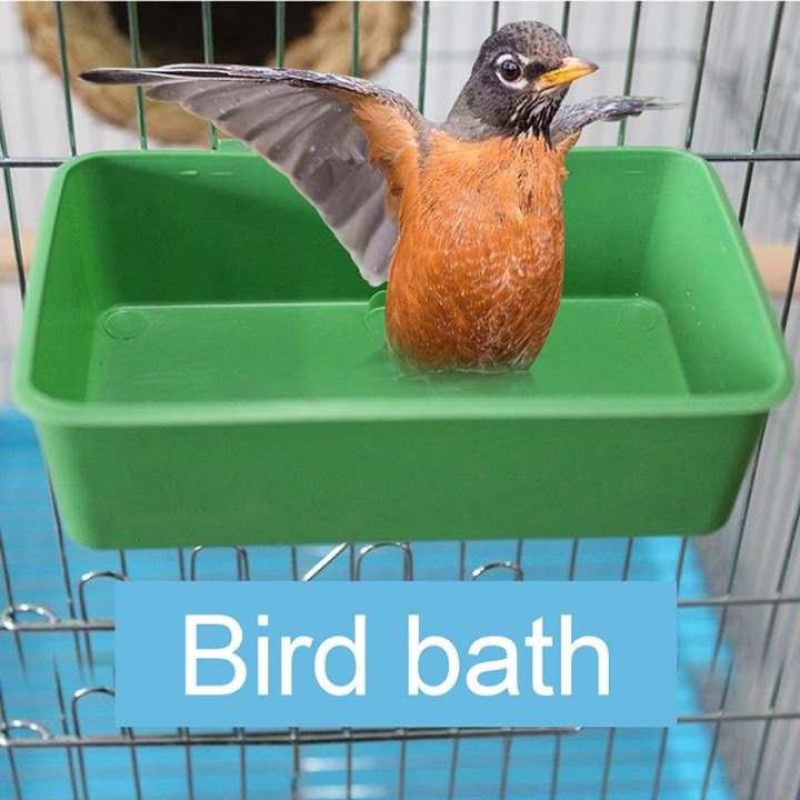 Kleine Kunststoff-Vogelbadewanne, Papageien-Duschbadewanne, Vogelfutternapf für Futterhäuschen 1pc grün