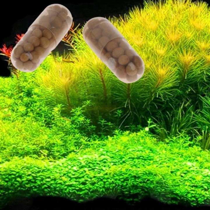 40 Stück Wasserpflanzen-Wasserwurzeldünger, kondensierter Aquarium-Zylinder 1