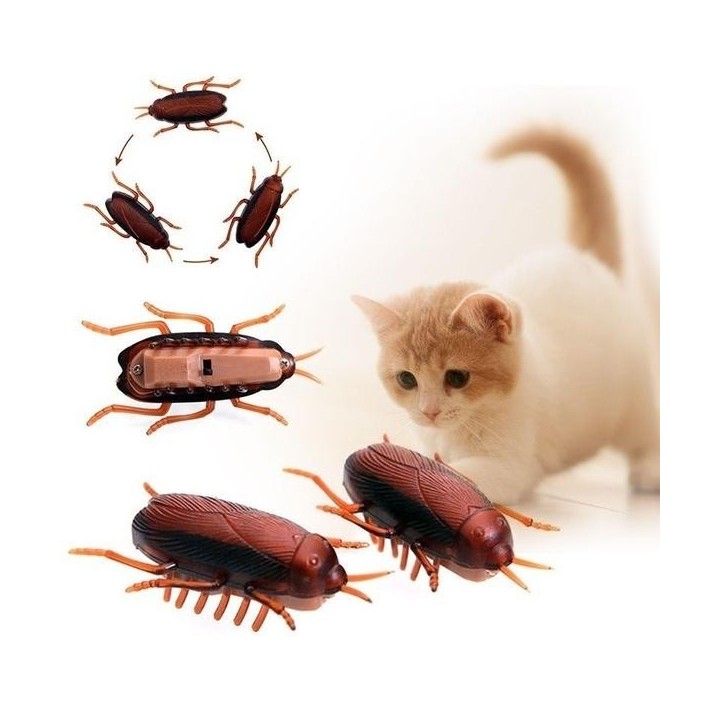 Lustige Simulation von Kakerlaken, Haustier, Katze, Hund, Kätzchen, interaktives Trainingsspielzeug