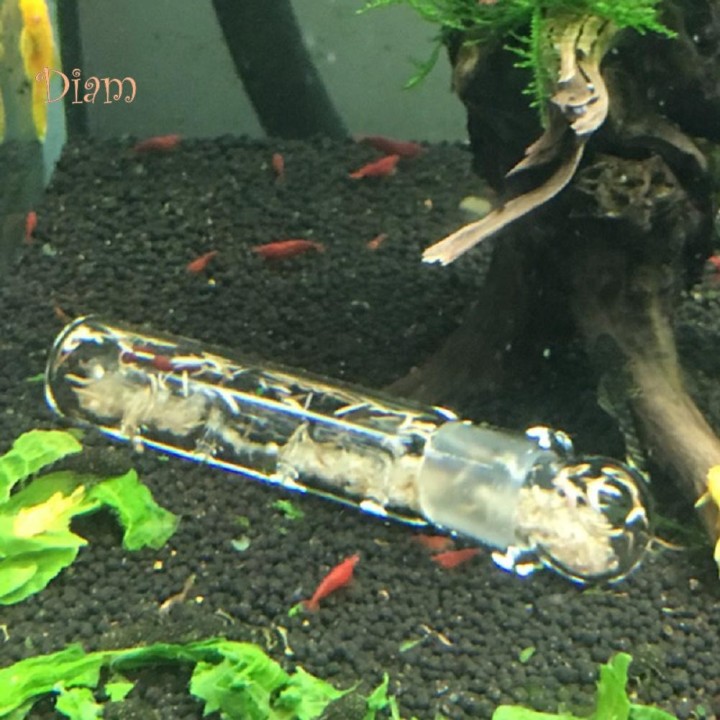 Glas 3-Loch Aquarium Schädlingsfänger Aquarium Planaria Blutegel Wurmfalle Reiniger Das geheime Leben des Haustiers transpare