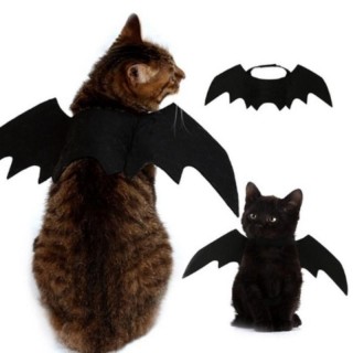 Haustier-Halloween-Cosplay-Kostüm für Hunde, Katzen, Welpen, Kätzchen, schwarze Fledermausflügel schwarz