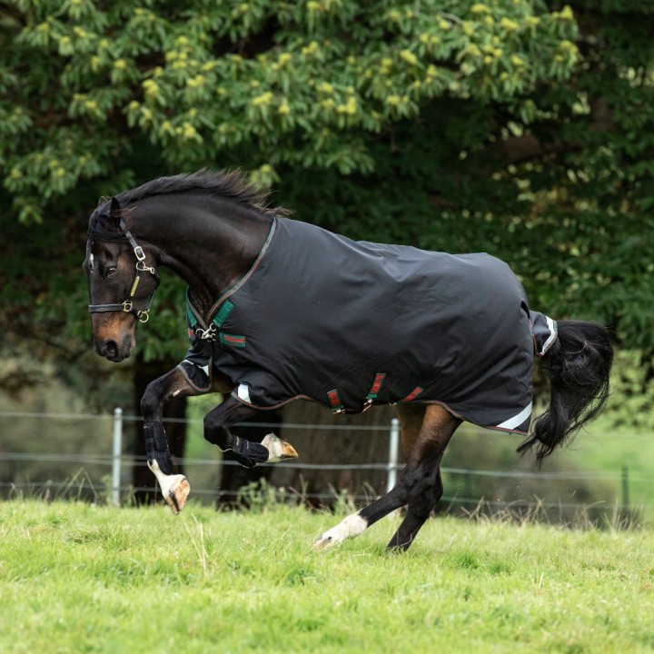 Horseware Rambo Original with Leg Arches Turnout Medium 200g - Black/Green