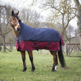 Equithème Tyrex 1200D High Neck 50g - marineblau/bordeaux