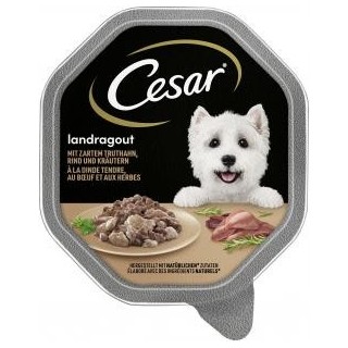 Cesar Landragout mit zartem Truthahn, Rind und Kräutern