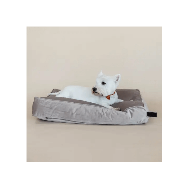 Kentucky Dogwear Hundekissen Samt