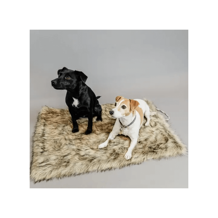 Kentucky Dogwear Dog Bed to Go Blanket Fuzzy