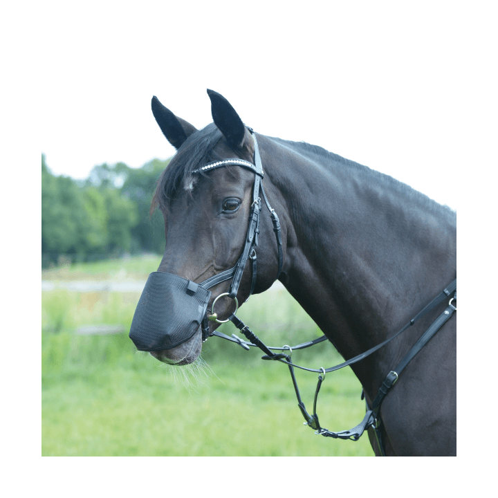 Busse Nüsternschutz FLY PROFESSIONAL ANATOMIC