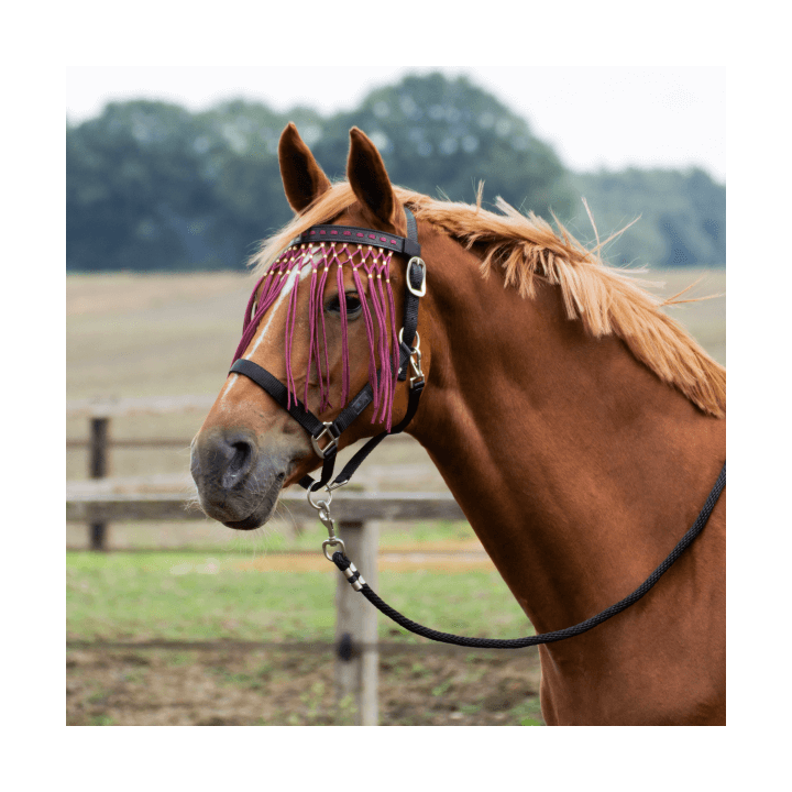 Busse Fliegenkordelband EXKLUSIV
