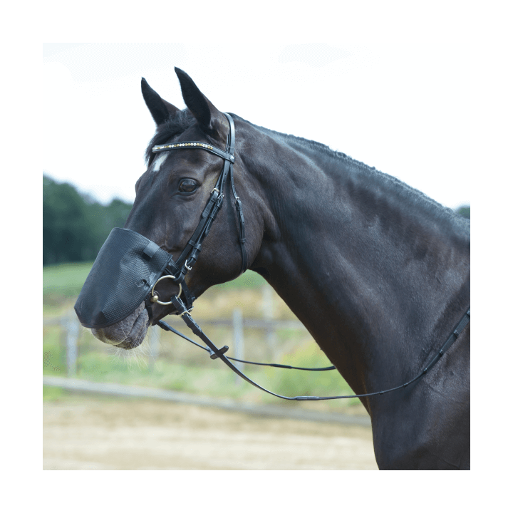 Busse Nüsternschutz FLY PROFESSIONAL