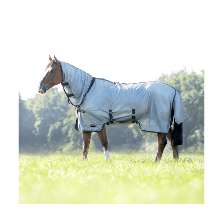 Busse Outdoor-Fliegendecke SUPERB