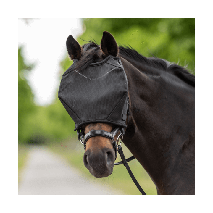 Busse Fliegenmaske RIDING
