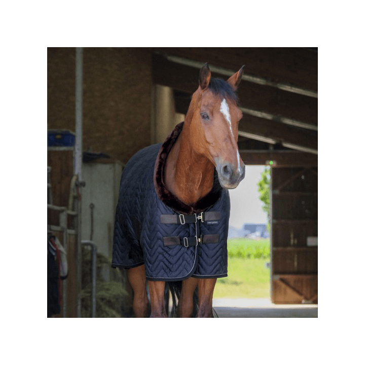 Equithème Teddy Samtdecke 150g