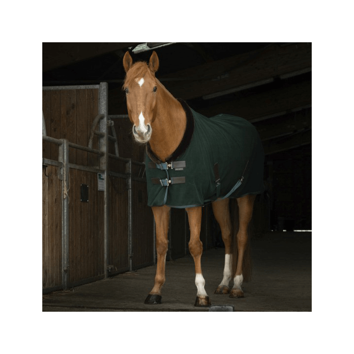 Equithème Teddy Polarfleecedecke