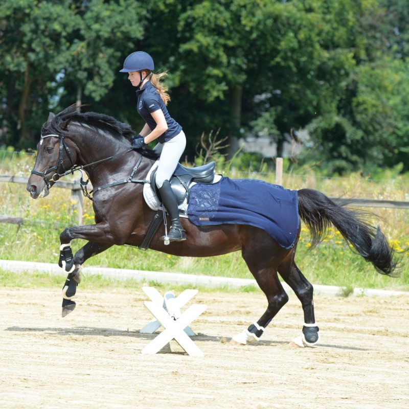 Busse Trainingsdecke FLY