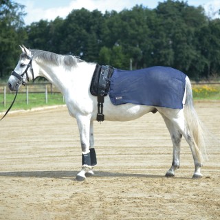 Busse Longierdecke FLY