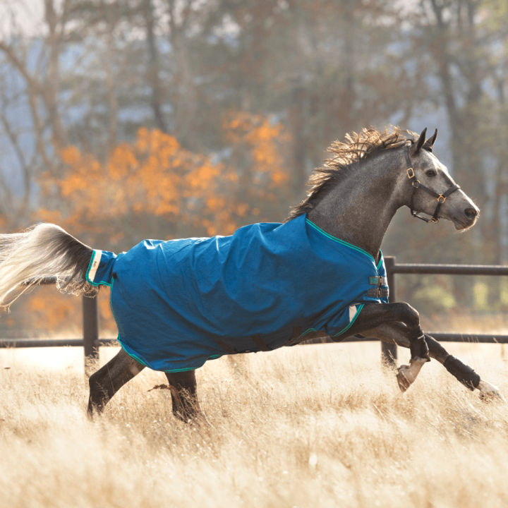 Horseware Rhino Original Turnout Lite 0g