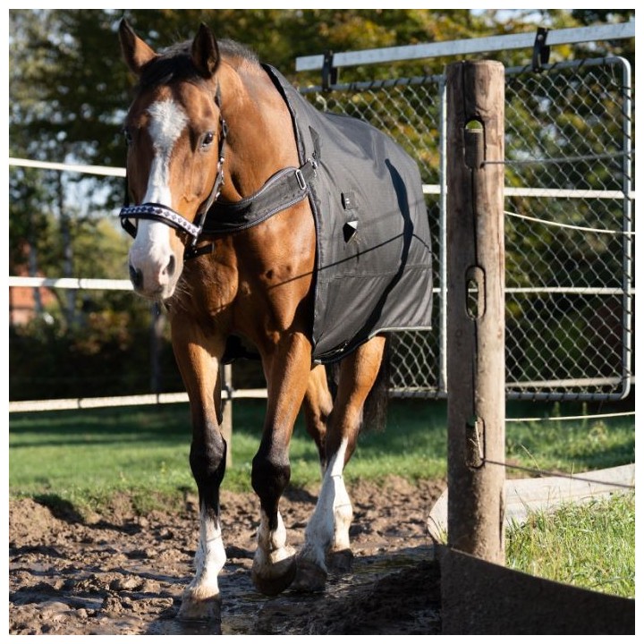 Kavalkade Halifax 2in1 Outdoor- und Führanlagendecke 50g