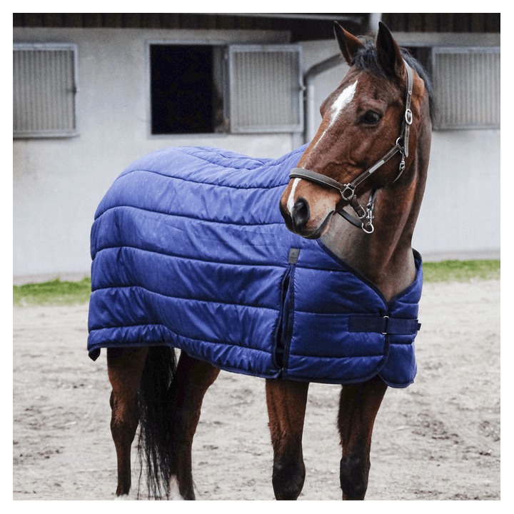 Equithème Classic 200g Unterdecke