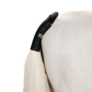 Eskadron Basic Neo Tail Schweifschoner