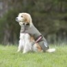Weatherbeeta Comfitec Premier Free Parka Hundemantel Medium