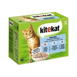 Kitekat Fisch-Box in Gelee