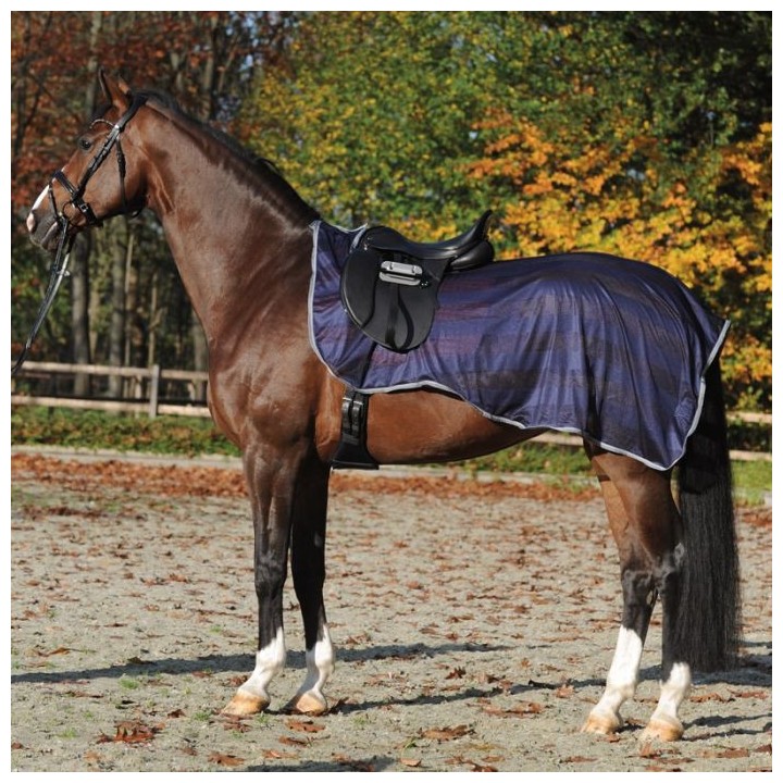 Kavalkade Fliegen-Ausreitdecke