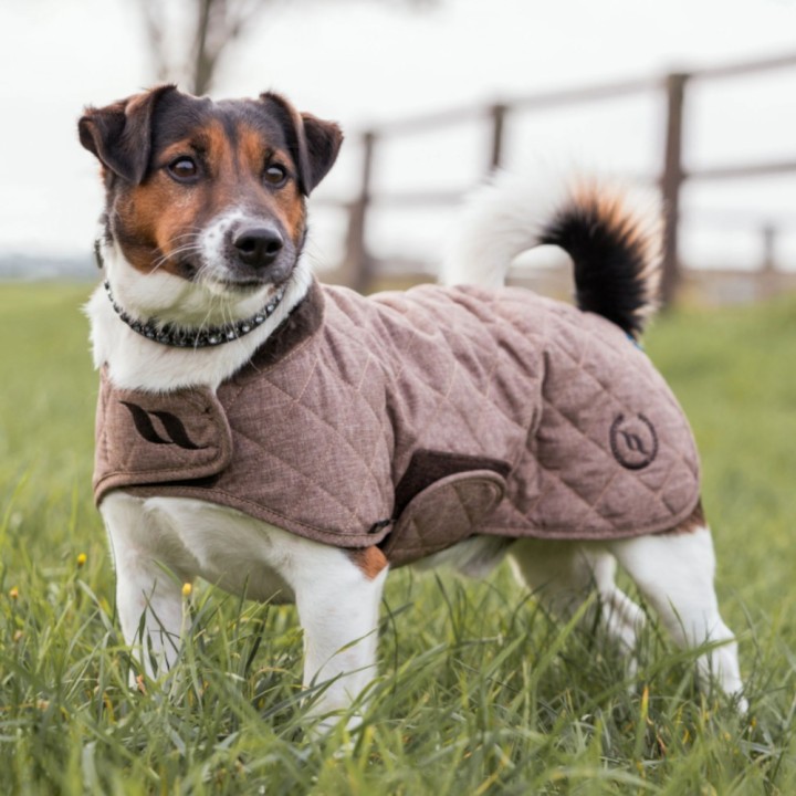 Back on Track Haze Collection Hundemantel - braun