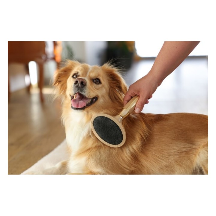 Kerbl MagicBrush Softzupfbürste für den Hund