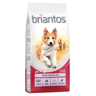 Briantos Adult Lachs & Reis - 14 kg