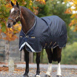Horseware Amigo Bravo 12 XL Original Turnout Medium 250g - Navy/Navy & Gold